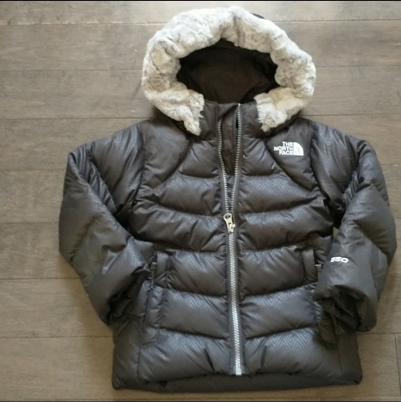 New The North Face Polar Down Jacket 